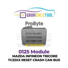 GromCalcTool 0125 Modülü Mazda INFINEON TRICORE TC23XX Sıfırlama Çökmesi CAN BUS